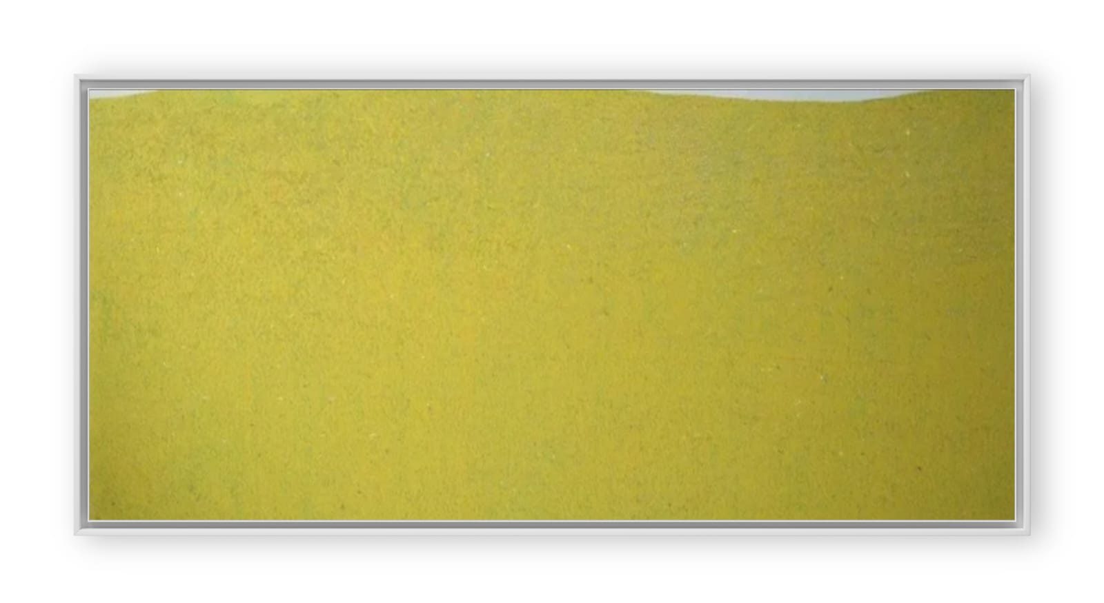 Dal paesaggio solo il verde, 2020