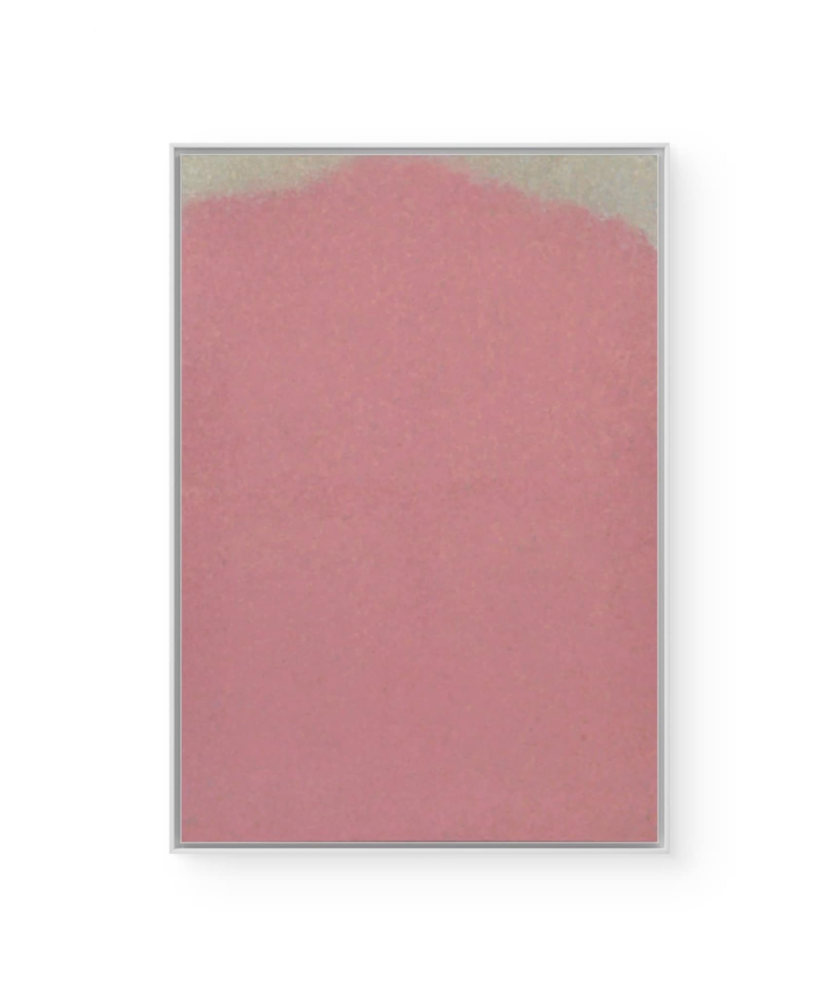 Rosa all’imbrunire, 2024